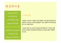 [인간행동과 사회환경] 현상학이론, 자아실현 이론-13