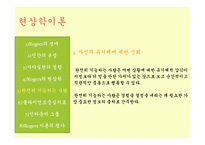[인간행동과 사회환경] 현상학이론, 자아실현 이론-14
