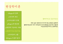 [인간행동과 사회환경] 현상학이론, 자아실현 이론-17