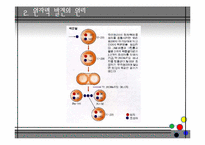 원자력 에너지의 장단점, 현황, 미래-6