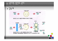 원자력 에너지의 장단점, 현황, 미래-7