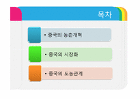 [중국정치] 현대화의 정치경제 -농촌개혁, 시장화, 도농관계-2