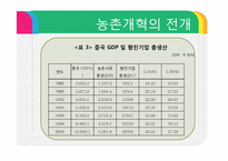 [중국정치] 현대화의 정치경제 -농촌개혁, 시장화, 도농관계-5