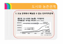 [중국정치] 현대화의 정치경제 -농촌개혁, 시장화, 도농관계-18