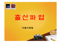[가족사회학] 출산파업 해결책 및 출산파업운동의 의의와 한계점-1
