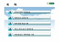 [인적자원개발] 11장 조직적 관점의 경력개발이론-2
