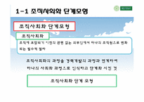 [인적자원개발] 11장 조직적 관점의 경력개발이론-4
