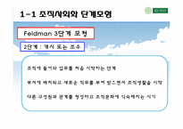 [인적자원개발] 11장 조직적 관점의 경력개발이론-8
