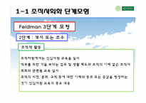 [인적자원개발] 11장 조직적 관점의 경력개발이론-10