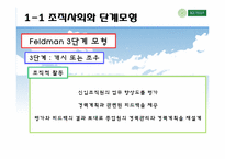 [인적자원개발] 11장 조직적 관점의 경력개발이론-13