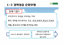 [인적자원개발] 11장 조직적 관점의 경력개발이론-15