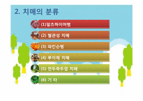 [정신건강론] 치매-9