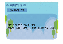 [정신건강론] 치매-13