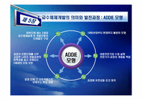 [인적자원개발] 제 5장 훈련 프로그램 개발 모형-11
