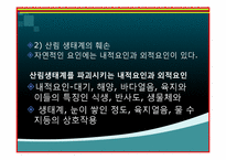생태 문화와 에코토피아 -산림 생태계에 관하여-14