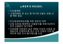 생태 문화와 에코토피아 -산림 생태계에 관하여-20