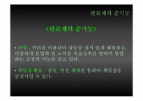 [관료제] Max Weber 관료제의 순기능과 역기능, 한국 관료제 미래-15