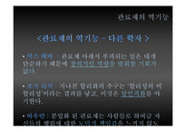 [관료제] Max Weber 관료제의 순기능과 역기능, 한국 관료제 미래-17