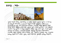 [아랍문화] 팔레스타인, 요르단-14