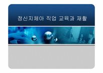 정신지체아 직업 교육과 재활-1