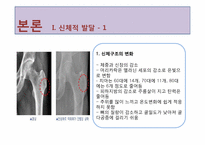 노년기 레포트-7