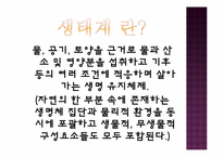 생태계의 구조와 특징, 자연생태계의 원리와 환경-3