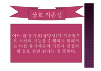 생태계의 구조와 특징, 자연생태계의 원리와 환경-9