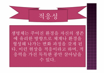 생태계의 구조와 특징, 자연생태계의 원리와 환경-12