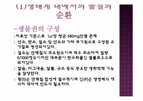 생태계의 구조와 특징, 자연생태계의 원리와 환경-14