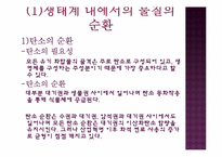 생태계의 구조와 특징, 자연생태계의 원리와 환경-15