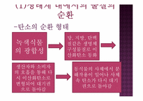 생태계의 구조와 특징, 자연생태계의 원리와 환경-16