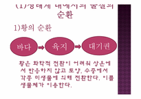 생태계의 구조와 특징, 자연생태계의 원리와 환경-18
