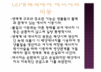 생태계의 구조와 특징, 자연생태계의 원리와 환경-20
