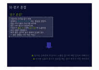 [광고] 매체 기획과 전략-7