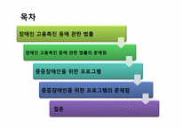 `장애인 고용촉진등에 관한 법률`에서의 중증장애인의 직업재활-2