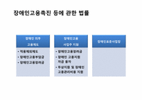 `장애인 고용촉진등에 관한 법률`에서의 중증장애인의 직업재활-4