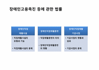 `장애인 고용촉진등에 관한 법률`에서의 중증장애인의 직업재활-5