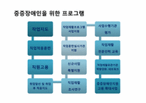`장애인 고용촉진등에 관한 법률`에서의 중증장애인의 직업재활-11