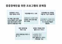 `장애인 고용촉진등에 관한 법률`에서의 중증장애인의 직업재활-12