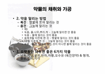 [한의학] `탕액 서례`편-6