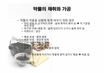 [한의학] `탕액 서례`편-8