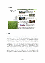 향가의 해석과 현대적 응용에 관한 고찰 -서동요, 모죽지랑가, 헌화가를 중심으로-18