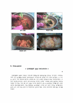 [생물학] 김치, 백김치-12