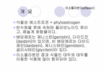 기능성_식품학 레포트-4