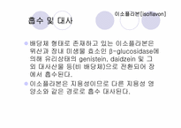 기능성_식품학 레포트-9