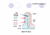 기능성_식품학 레포트-10