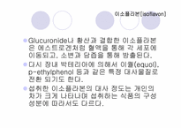 기능성_식품학 레포트-11