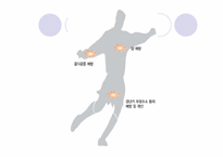 기능성_식품학 레포트-14