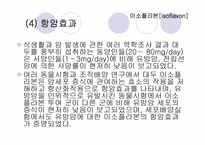 기능성_식품학 레포트-18