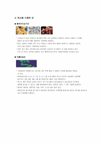 【식중독 균】 레포트-3